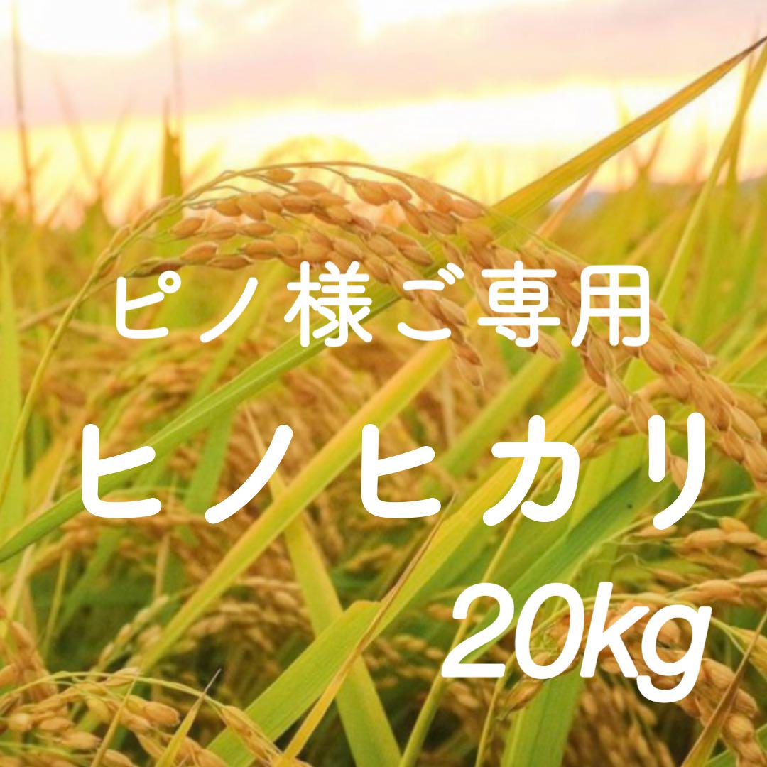 ピノ様ご専用　R5年度米愛媛県産ヒノヒカリ稲架掛け米 20kg