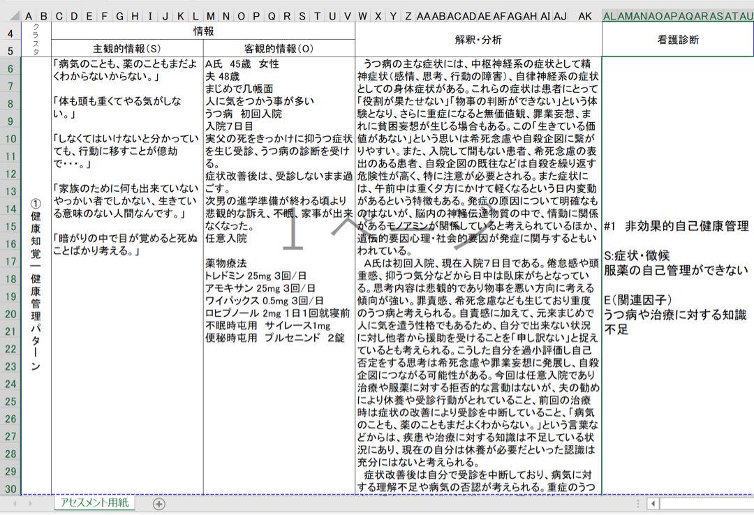 専用 看護学生 看護実習 看護過程 看護計画 アセスメント 手順書 関連図 資料