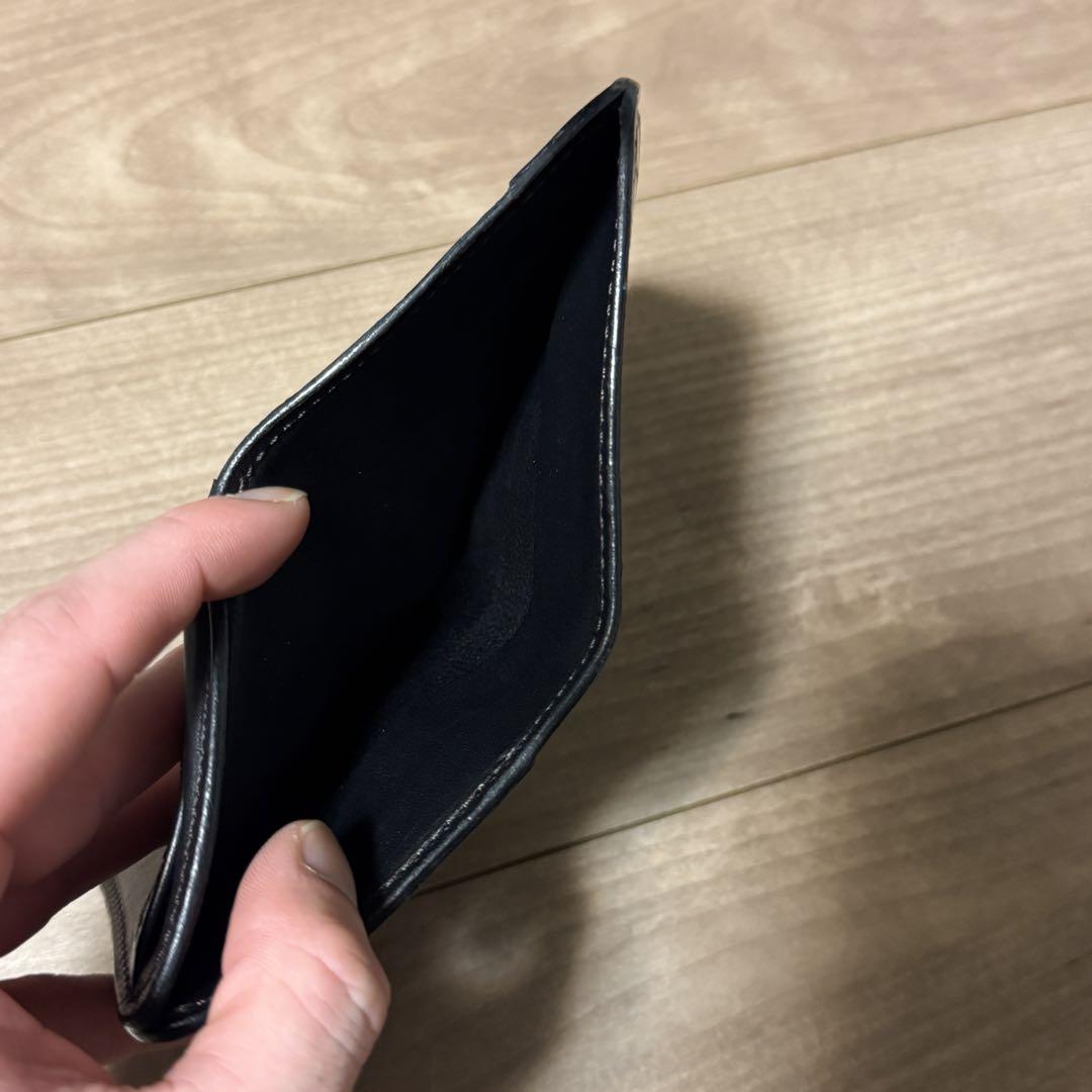 パーム　クロコダイル　サドルプルアップ　ワイルドスワンズ