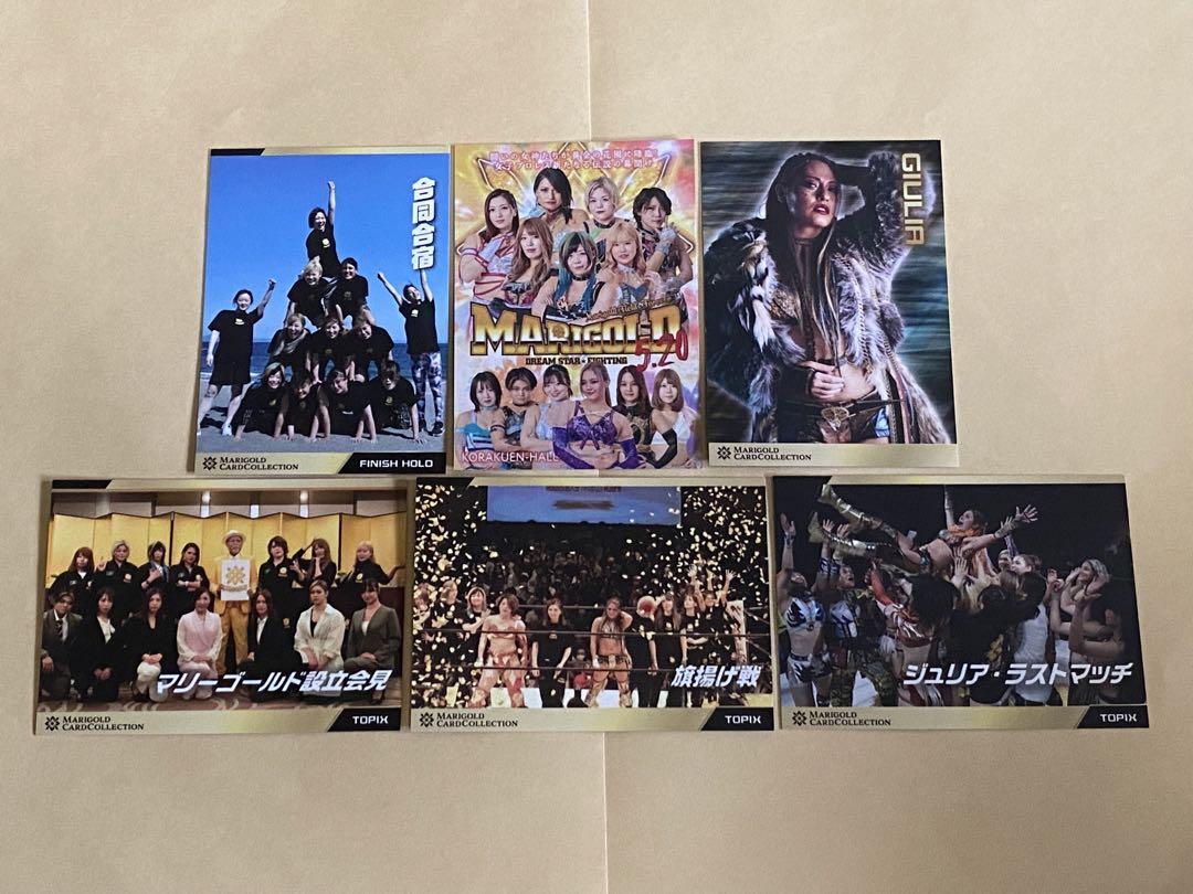女子プロレス　マリーゴールド　トレーディングカード　ジュリア　トレカ　WWE 女子プロレス マリーゴールド トレーディングカード ジュリア