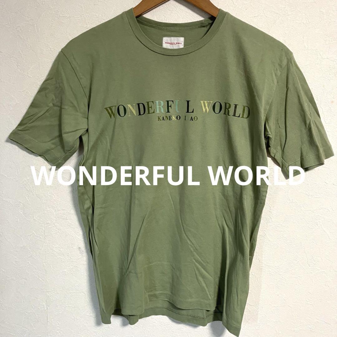 【素敵なデザイン❗️】90's WONDERFUL WORLD 緑 ロゴ Tシャツ