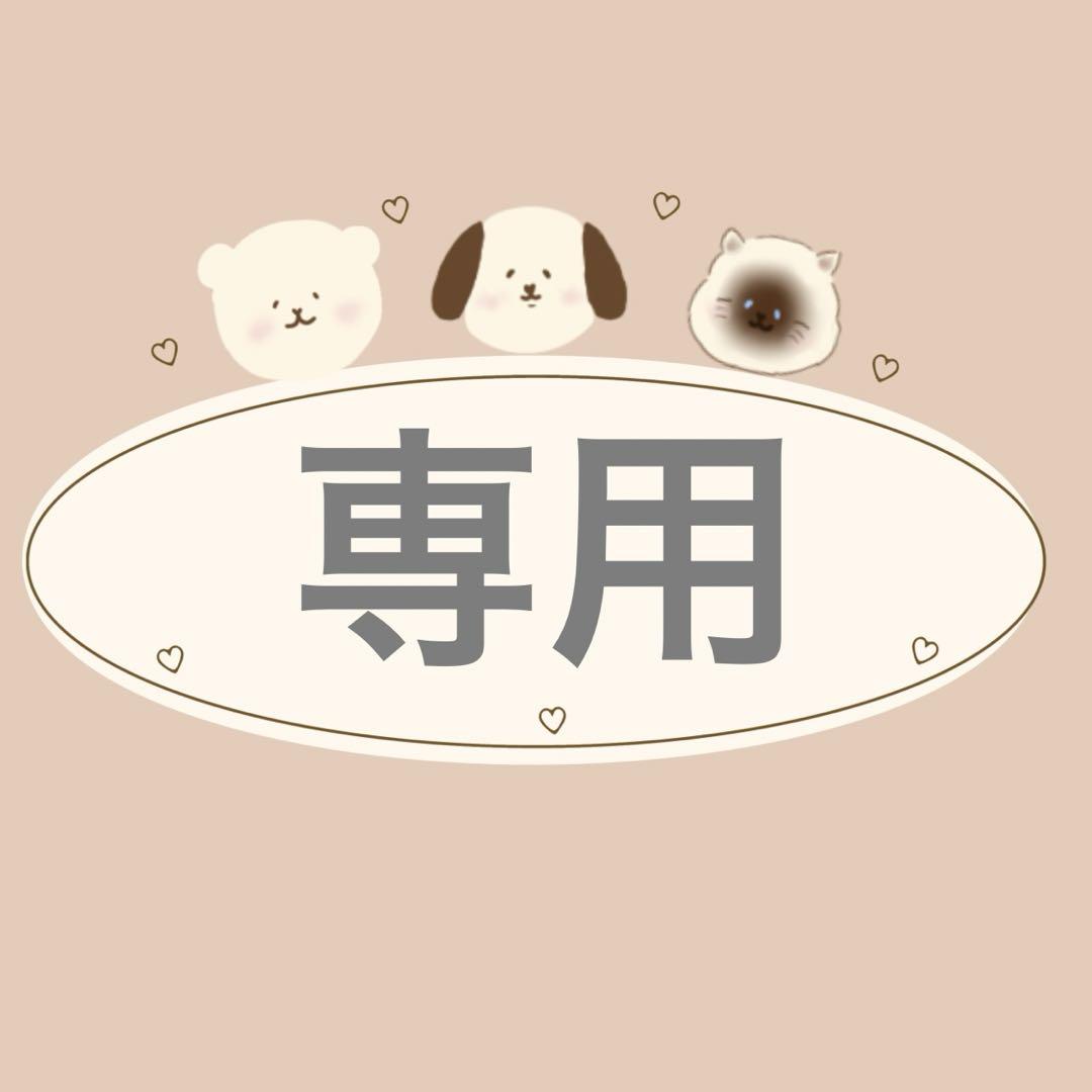 ig1/3オーダー