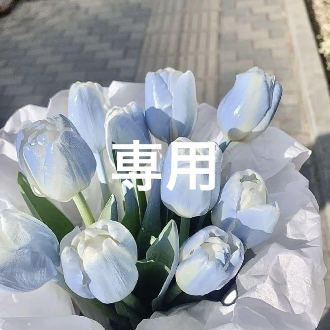 専用