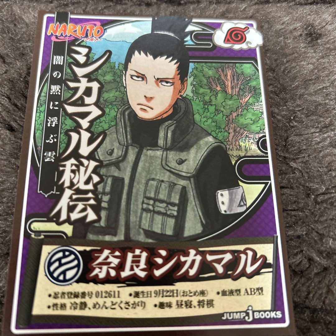 美品　レア　希少　お宝　NARUTO シカマル秘伝 タペストリー　奈良シカマル ☆7月末まで大幅値下げ NARUTO シカマル秘伝 タペストリー 奈良