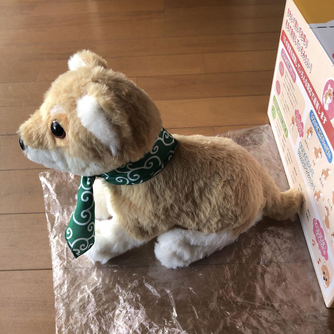 【未使用】音声認識ドール ココドル 踊るペット犬 芝犬 AI 未使用】音声認識ドール ココドル 踊るペット犬 芝犬 AI - メルカリ