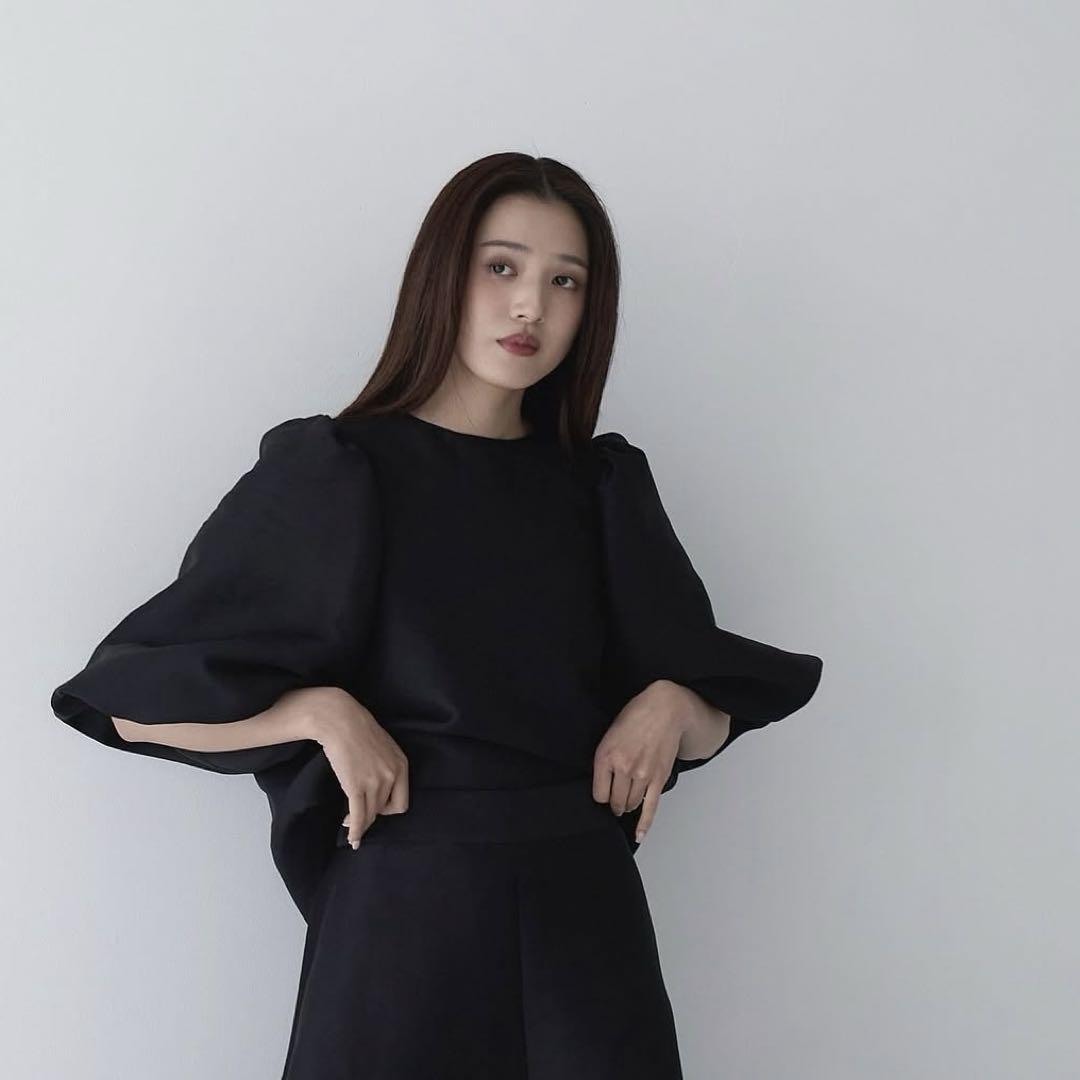 高級感 emm the shop Tulip blouse heve シアー レディース トップス