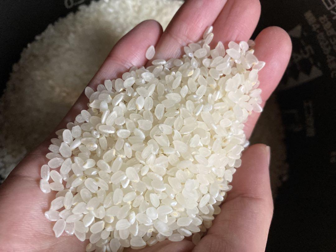 信州産　コシヒカリ 30kg 送料込み