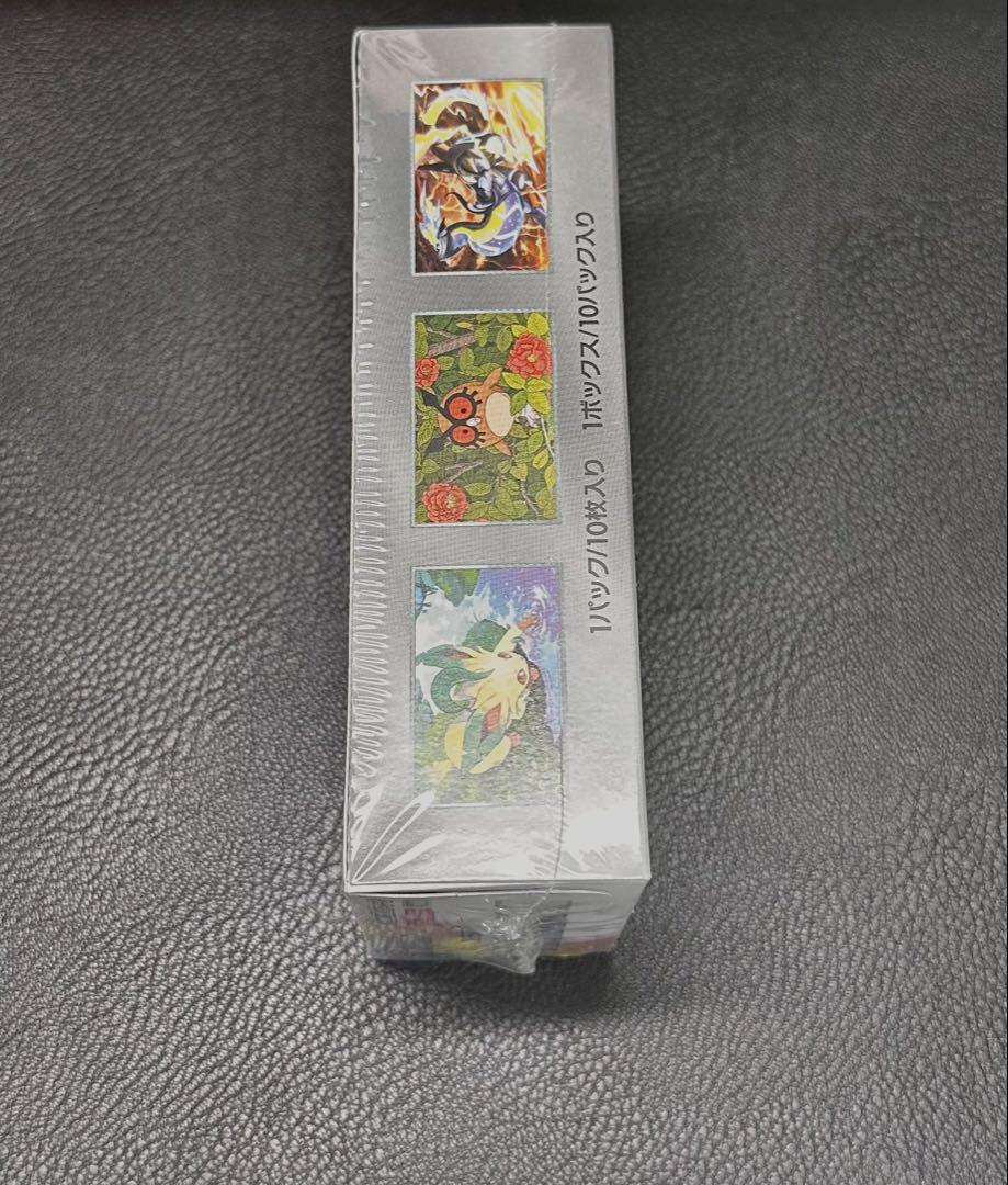 ポケモンカードゲーム テラスタルフェスexBOX 【新品未開封・シュリンクつき】