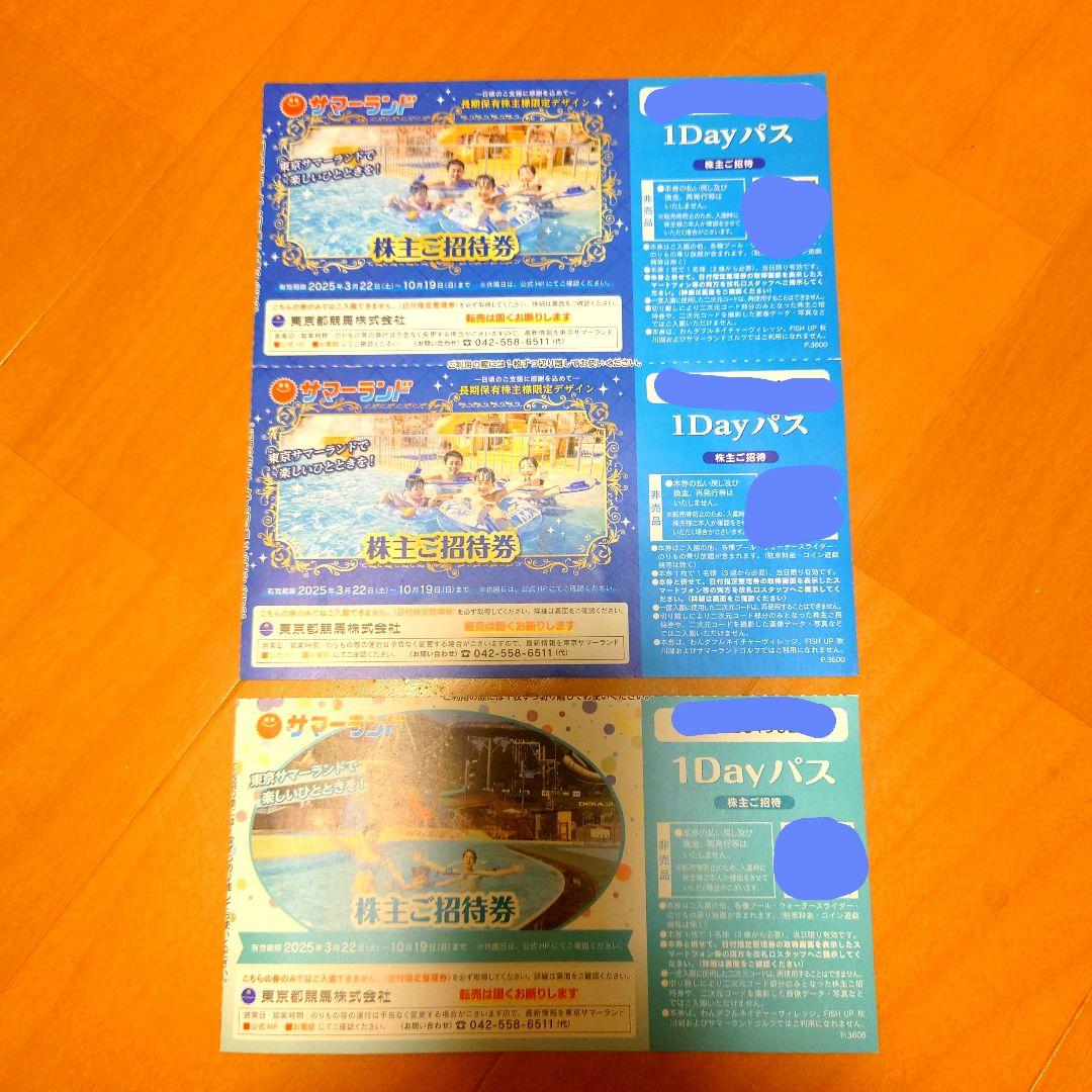 サマーランド　1Dayパス 速達可能翌日到着 6枚 東京サマーランド株主優待券 1DAYパス フリーパス⑨