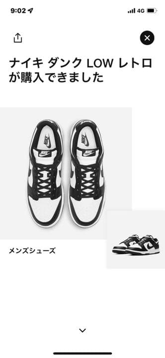 NIKE DUNK LOW RETRO ナイキ パンダダンク 25.5cm | bioimune.com.br