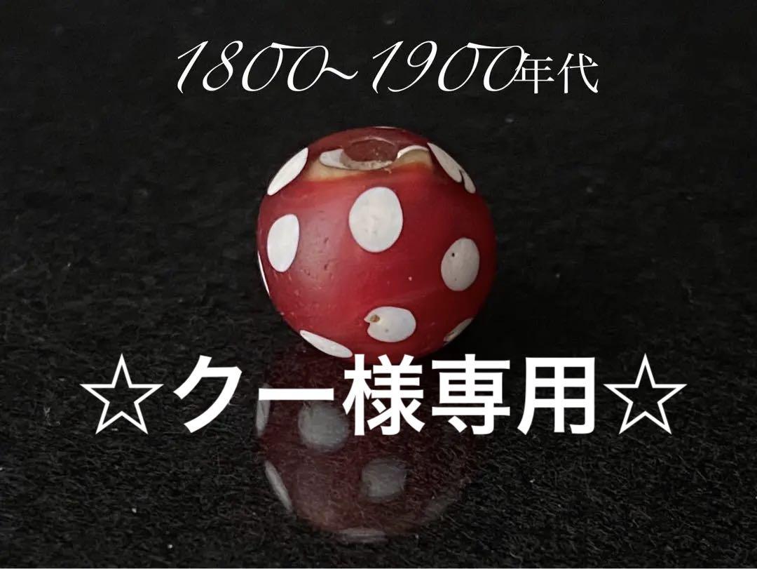 血赤　スカンク　極上品
