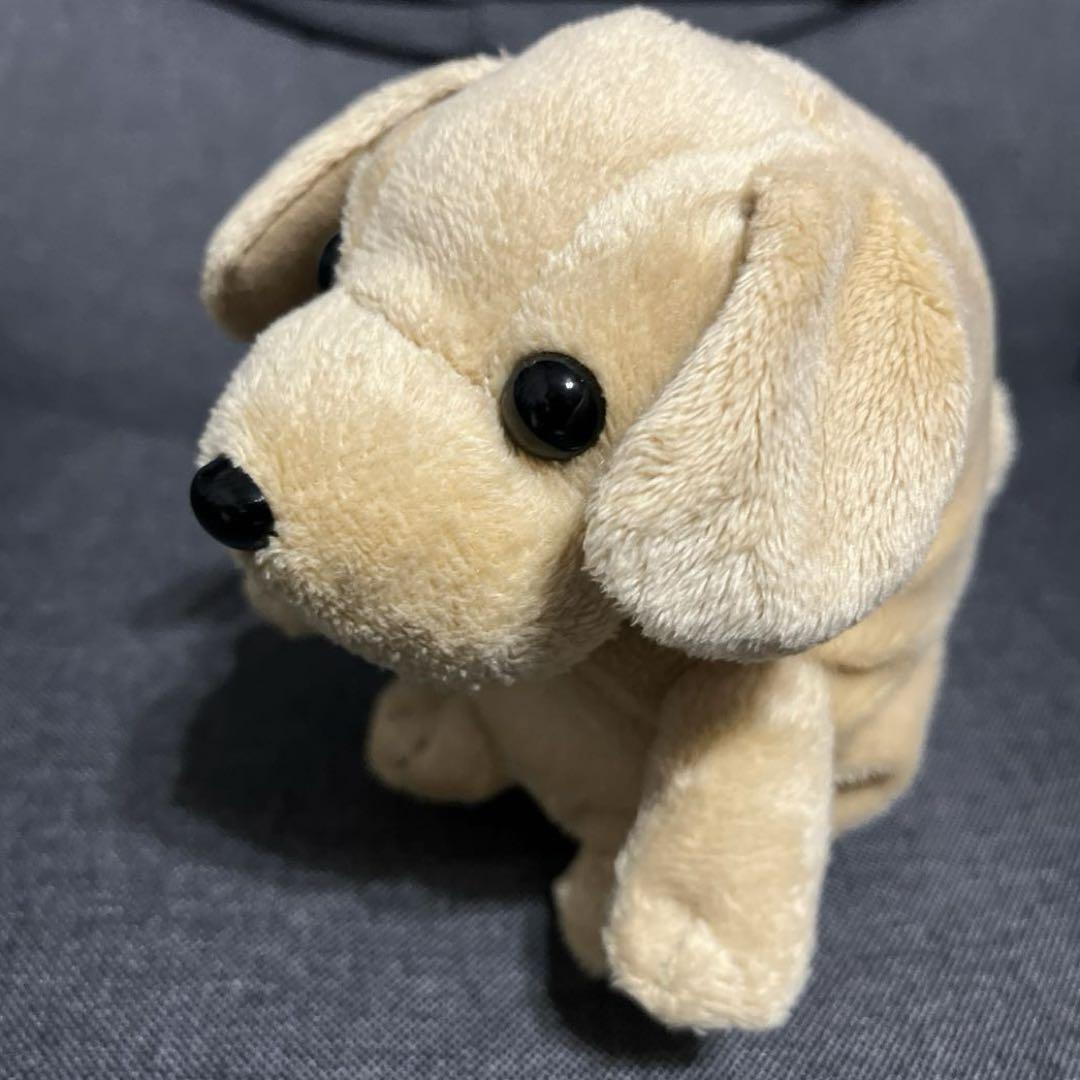 こえマネわんちゃん ぬいぐるみ　まねっこ