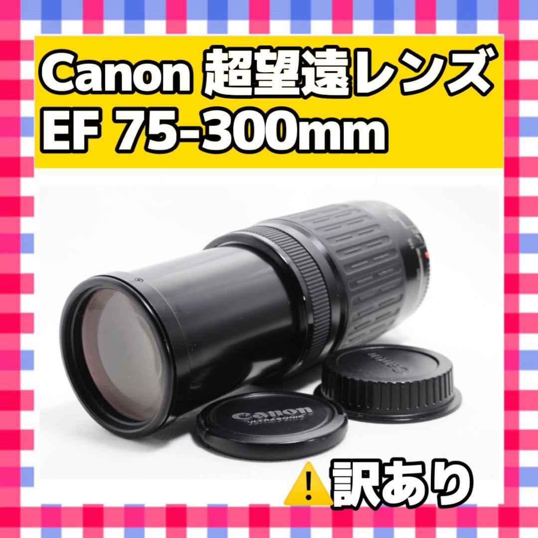 動作確認済❤️Canon EF 75-300mm❤️迫力満点の望遠レンズ 訳アリ❤️Canon EF 75-300mm❤️迫力満点の望遠レンズ - メルカリ