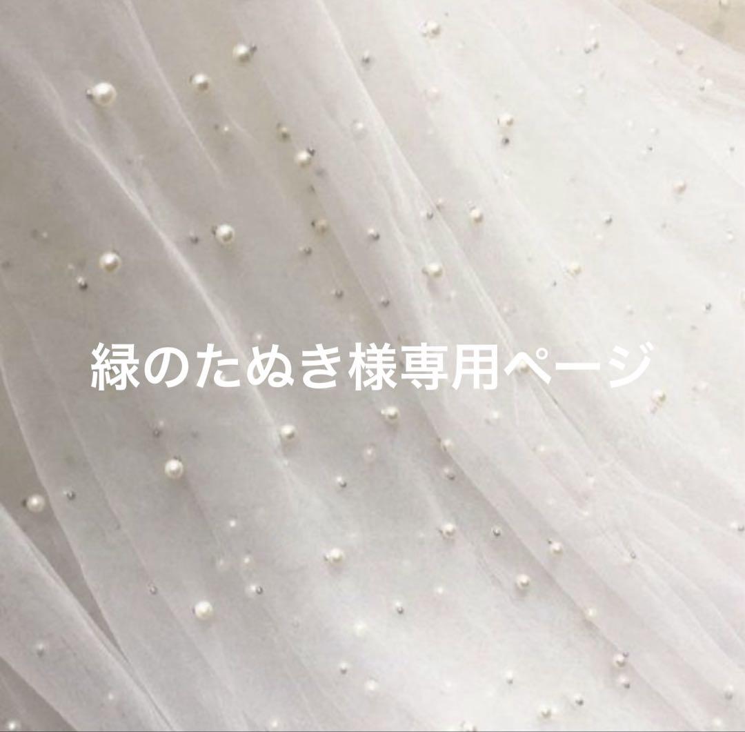緑のたぬき様専用ページ