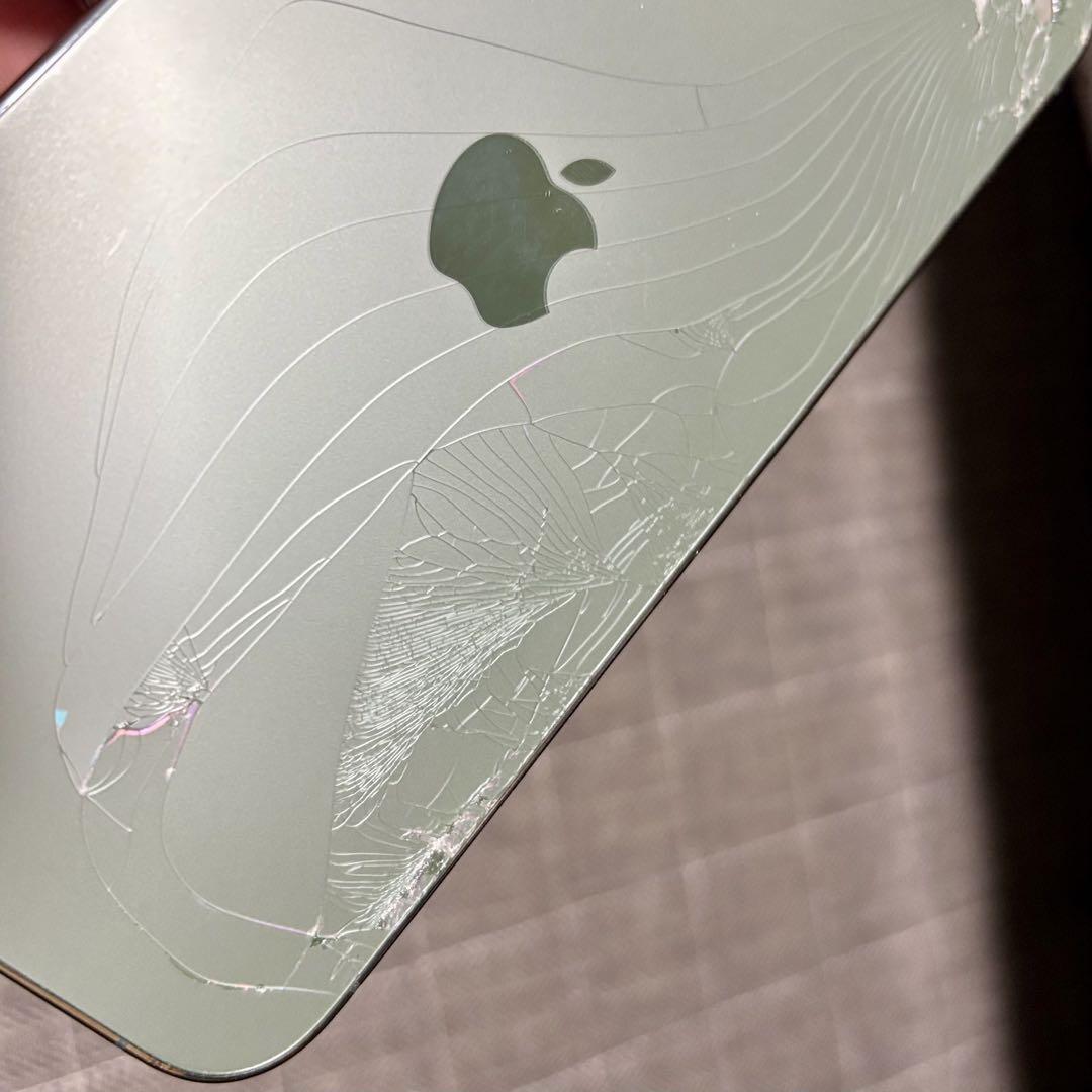 iPhone 13 Pro Max 128GB アルパイングリーン