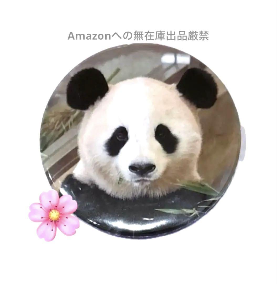 バラ可　シャンシャン　桜浜桃浜まとめ売り　13点　アドベンチャーワールド　海外製 中国に旅立った3頭と和歌山で暮らす4頭を特集』放送版