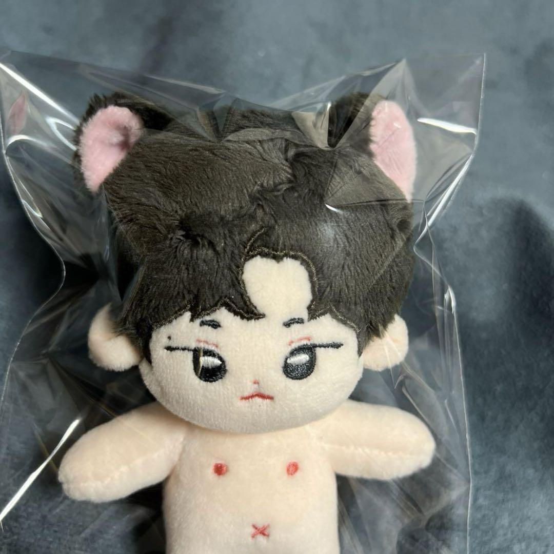 the boyz ジュヨン　ぬいぐるみ　15cm 新品　マスター