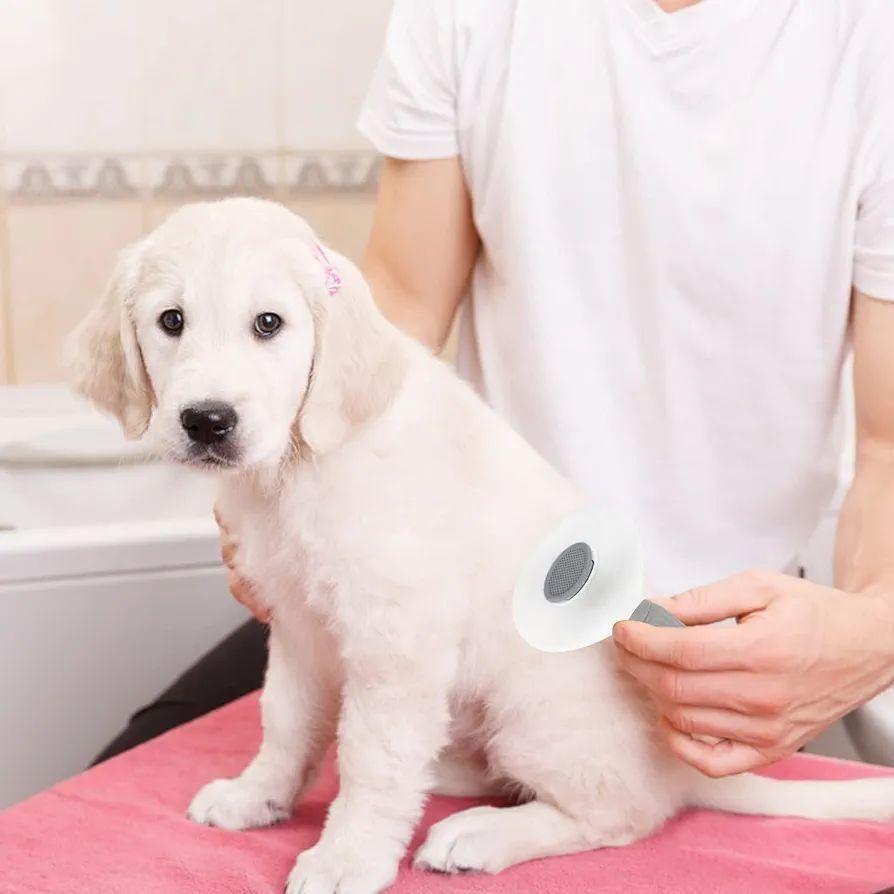 Depets