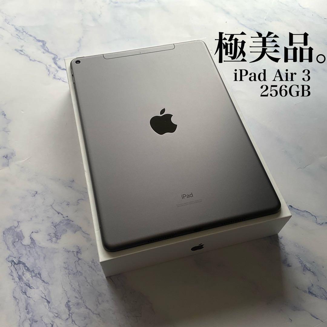 美品　iPad Air 第4世代 Cellular 256GB スペースグレイ