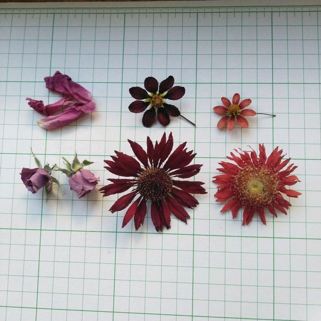 ガーベラドライフラワー ミニ薔薇 ダリア ドライフラワーオータムカラー メルカリ ガーベラドライフラワー ミニ薔薇 ダリア ドライフラワーオータムカラー メルカリ