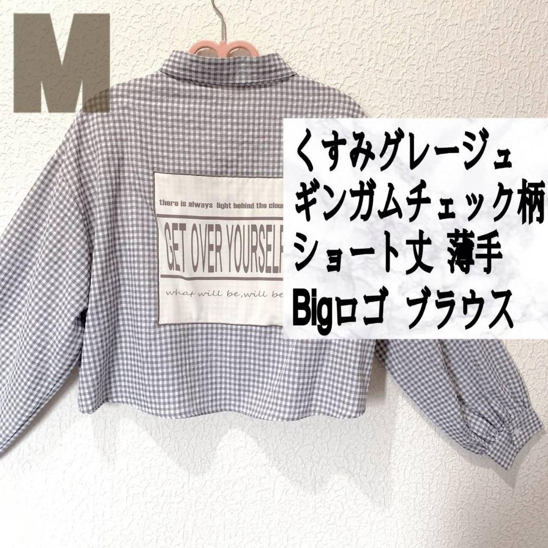エムズグレイシー❤︎ギンガムチェック襟　カットソー　40 タグ付き新品 エムズグレイシー❤︎ギンガムチェック襟 カットソー 40 タグ