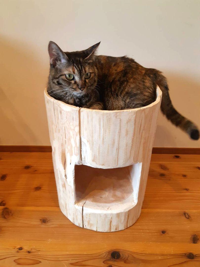 ねこの寝床