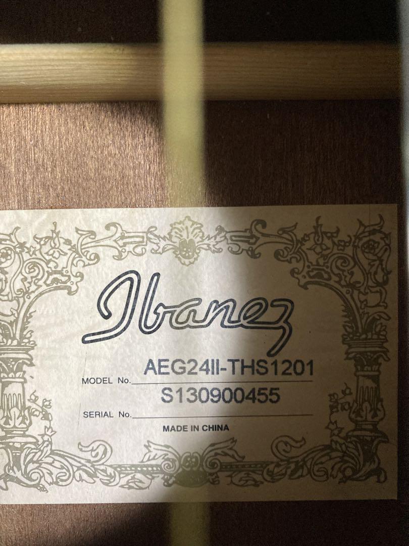 Ibanez エレアコ AEG24Ⅱ-THS1201 ギター Ibanez エレアコ AEG24Ⅱ-THS1201 ギター