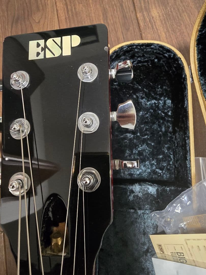 ESP 助六 イグアナ 横山健 シグネイチャーモデル ESP 助六 イグアナ 横山健 シグネイチャーモデル