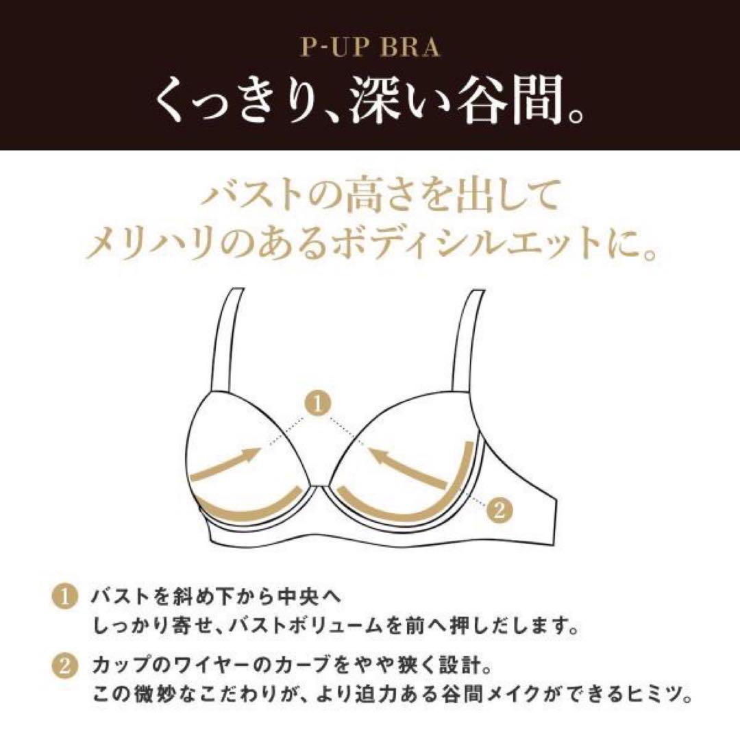 サルート96グループPアップブラソングセット(レッド)