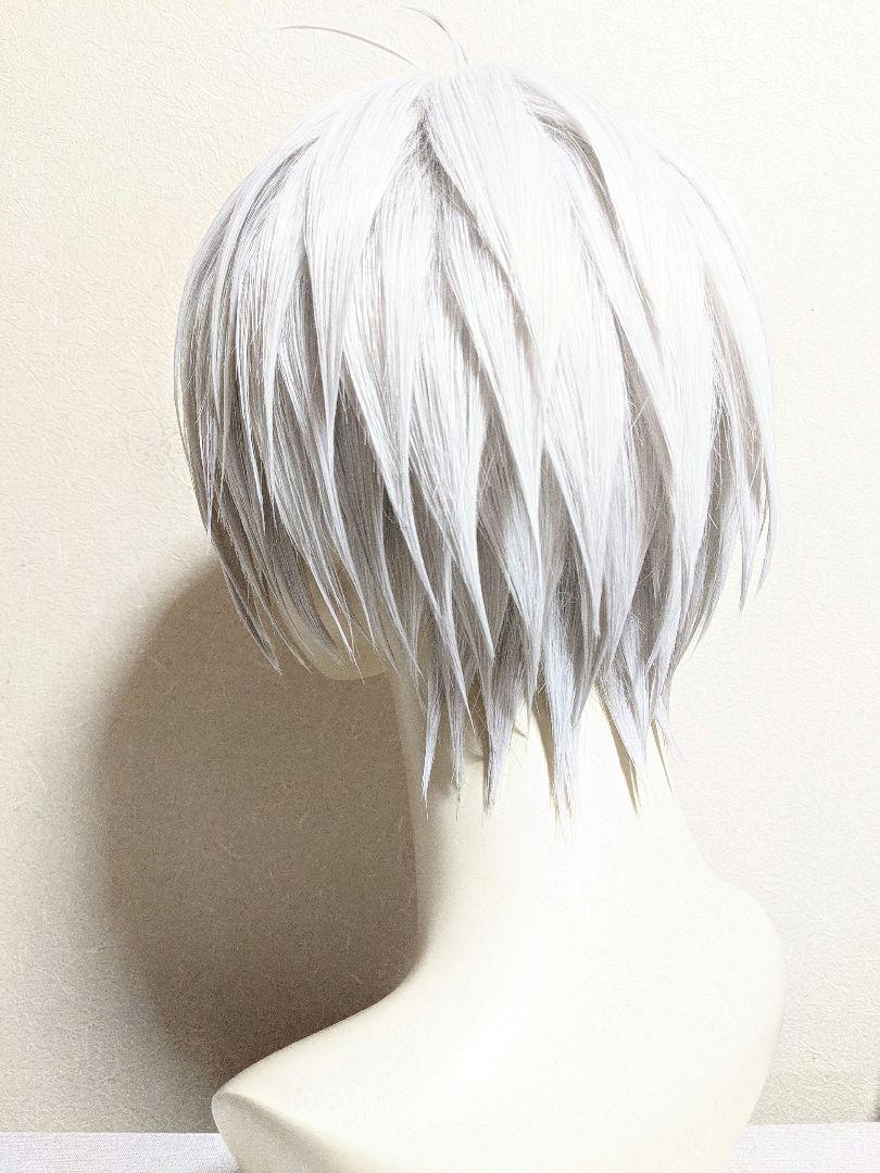 ✝ゲゲ郎 ウィッグ✝セット済 ゲゲゲの謎 - メルカリ
