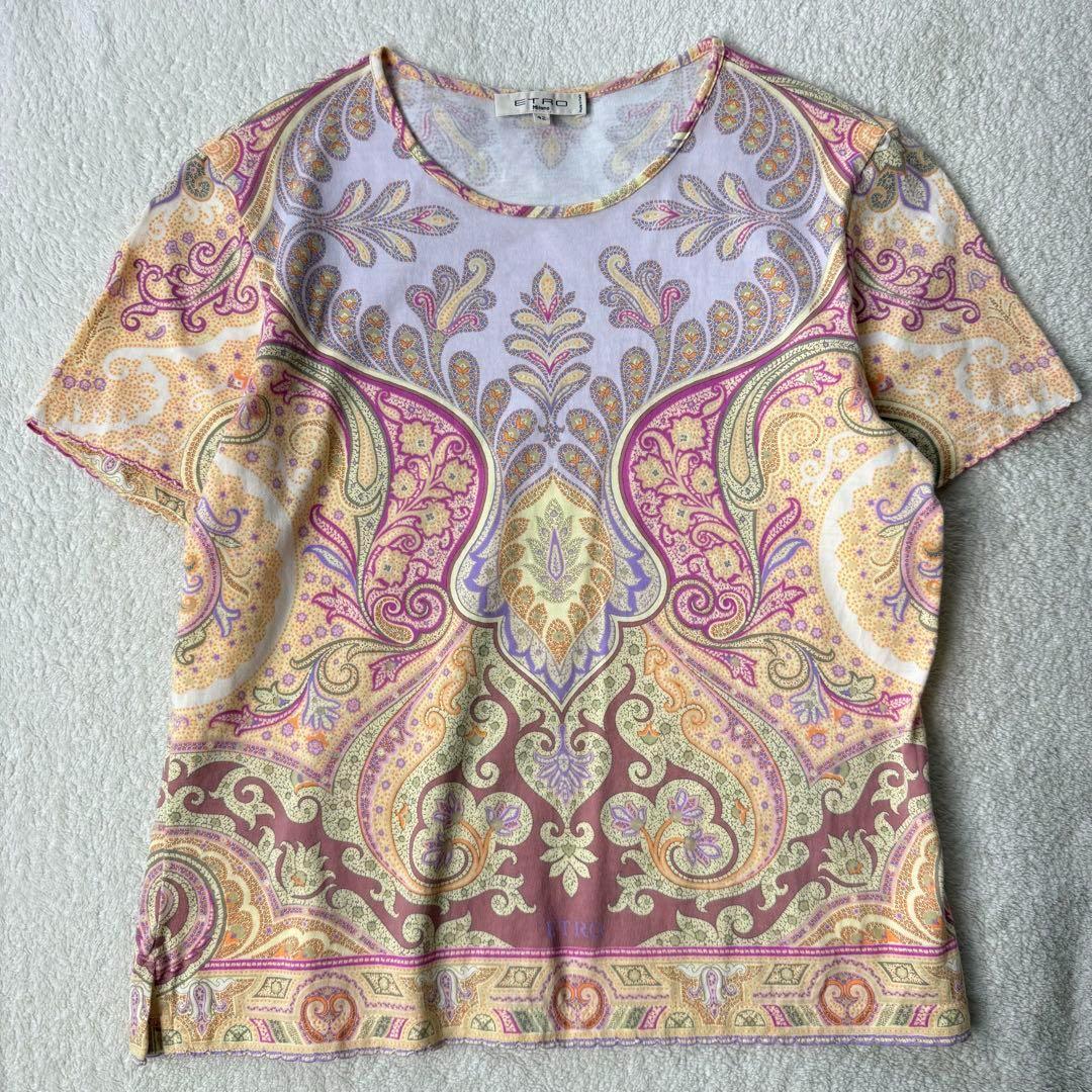 エトロ Tシャツ 半袖 パープル イエロー ピンク サイズ42