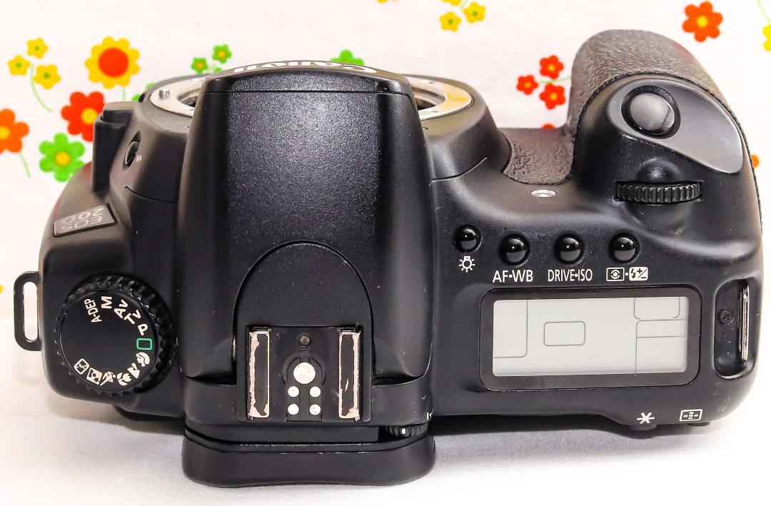 キャノン Canon EOS 20D☆スマホに転送♪☆高速連写！入門機 キャノン Canon EOS 20D☆スマホに転送♪☆高速連写！入門機