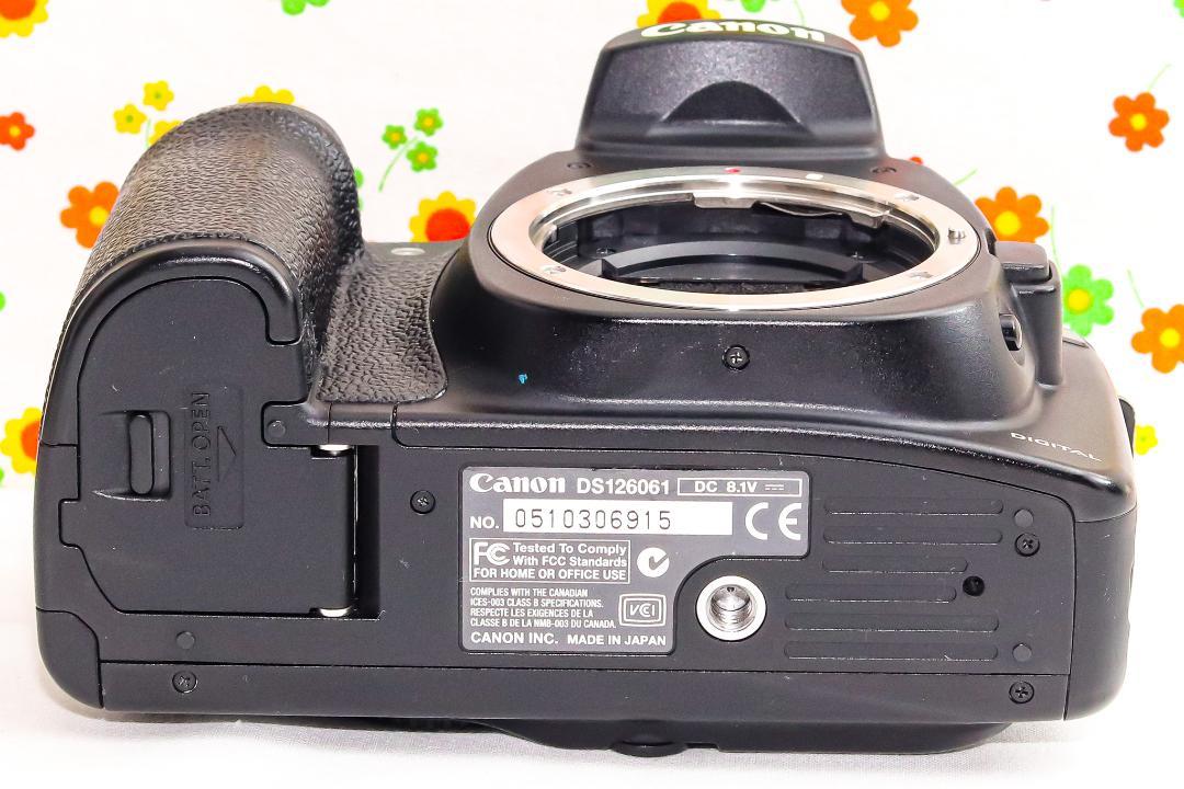 キャノン Canon EOS 20D☆スマホに転送♪☆高速連写！入門機