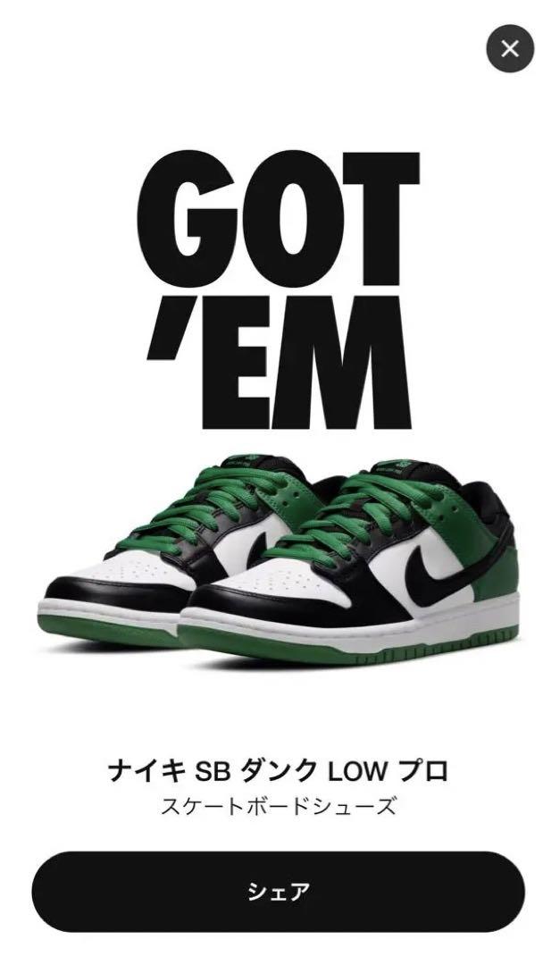 29cmNike SB Dunk Low Pro Black Classic Green