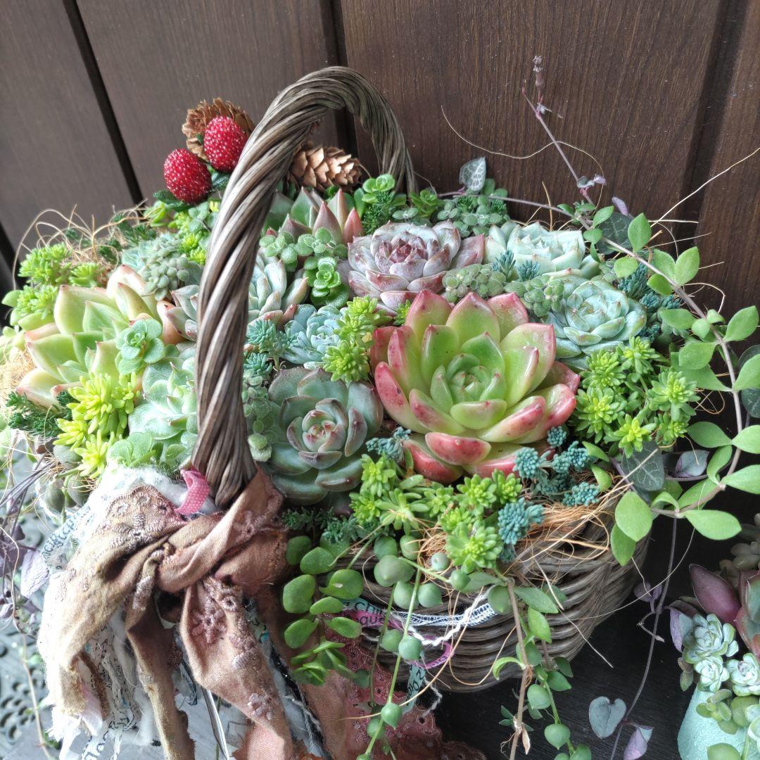 そのまま飾れる寄せ植え 2点セット♬*°やや傷や汚れあり