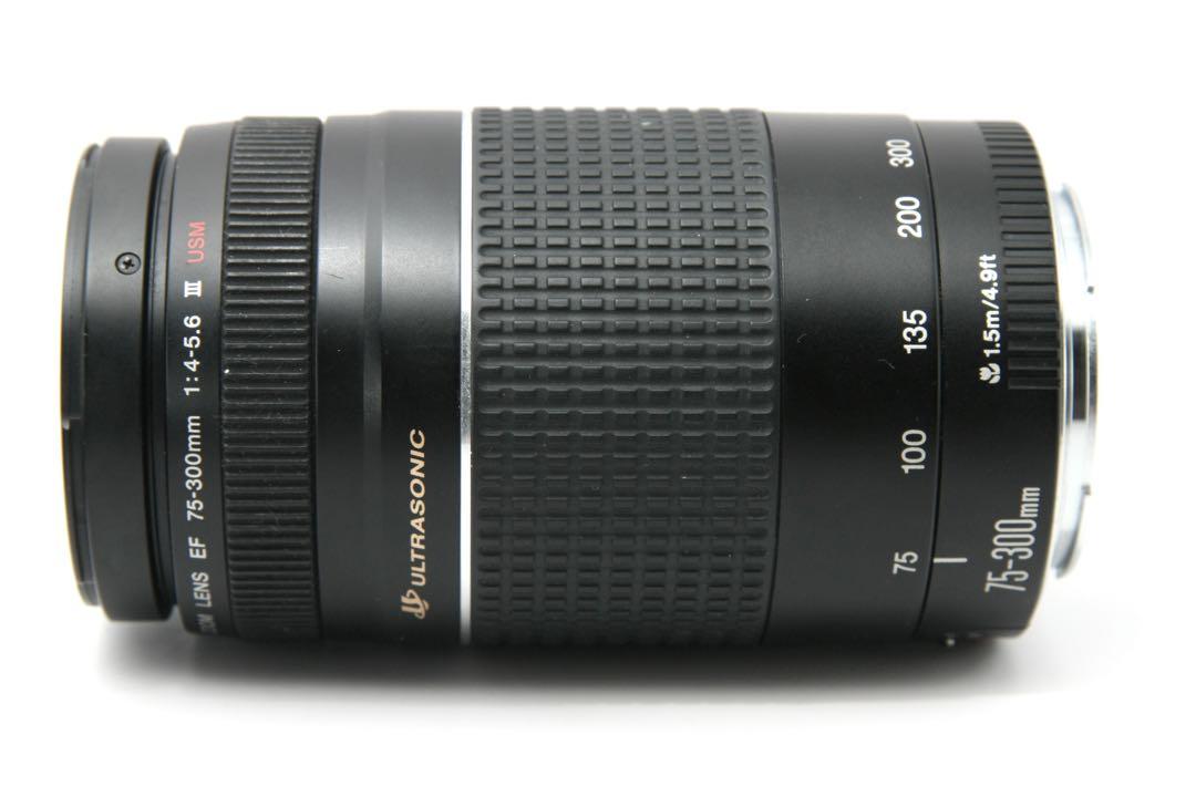 超望遠レンズ スポーツ観戦や旅行 Canon EF75-300㎜ III USM