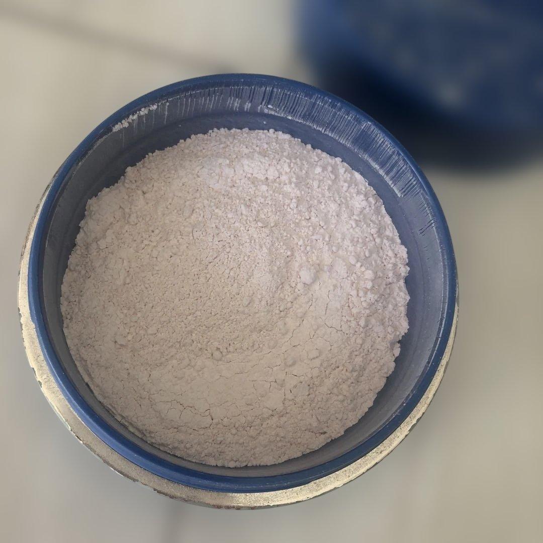 クレ•ド•ポーボーテ プードルトランスパラント ル・レオスールデクラ21 クレ•ド•ポーボーテ プードルトランスパラント ル・レオスールデクラ21