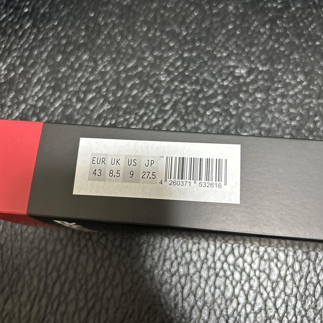 SOLESAT KONTROL 2 インソール　43