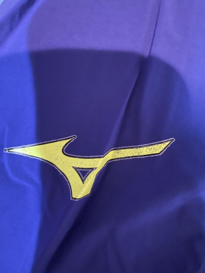 Mizuno 高速水着GX mサイズ