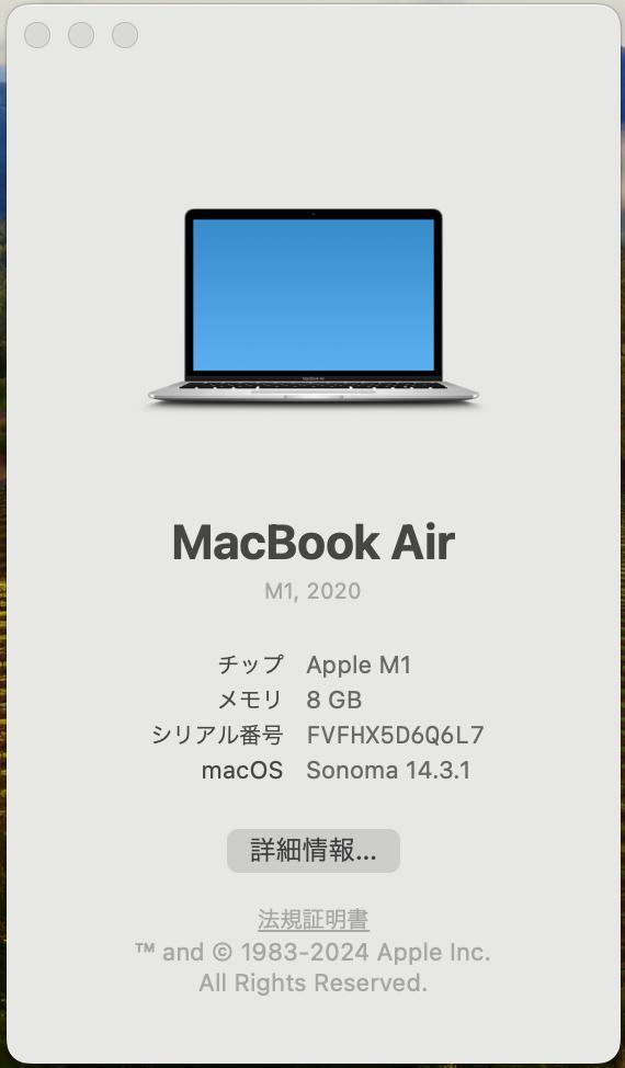 MacBook Air M1 2020 13インチ / 256GB / 8GB