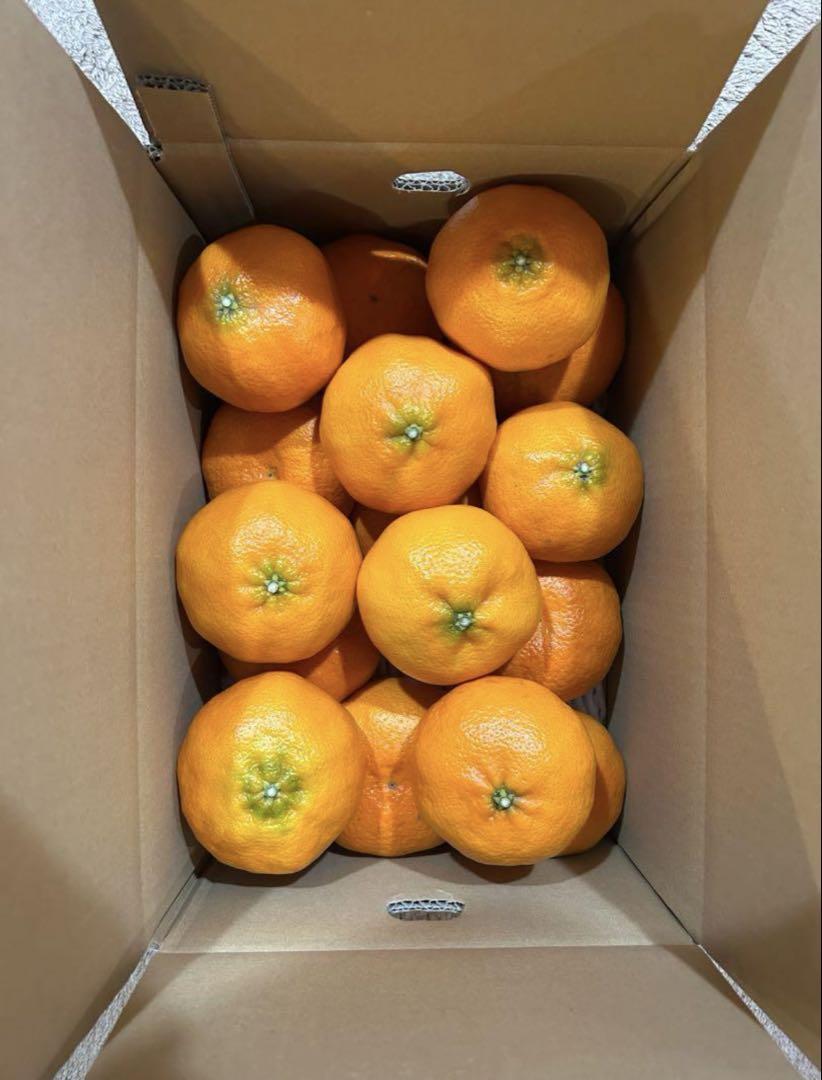 （か優3）贈答品 甘平 かんぺい 約5kg