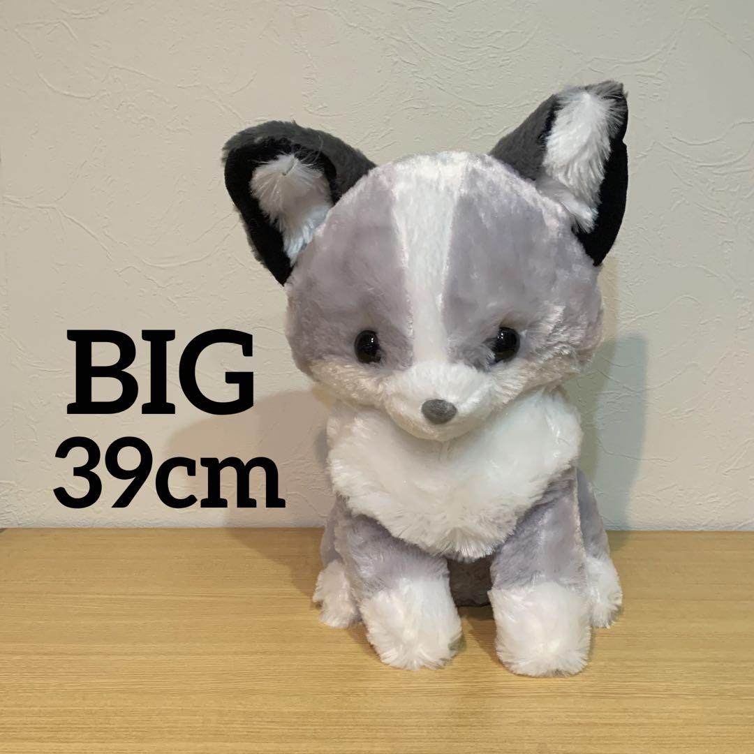 ちょコンとキツネ あんみつ BIG ② - メルカリ
