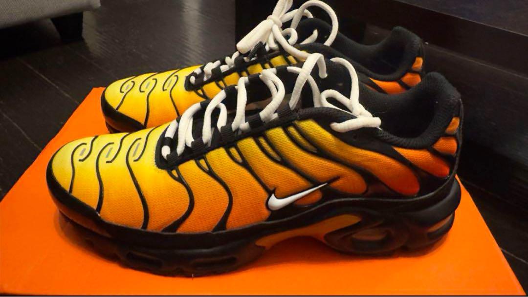 【美品】Nike Air Max Plus TIGER