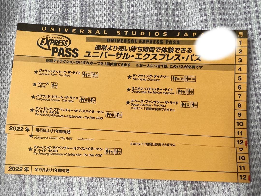 遊園地ユニバーサルスタジオジャパン　エクスプレスパス 12月末まで