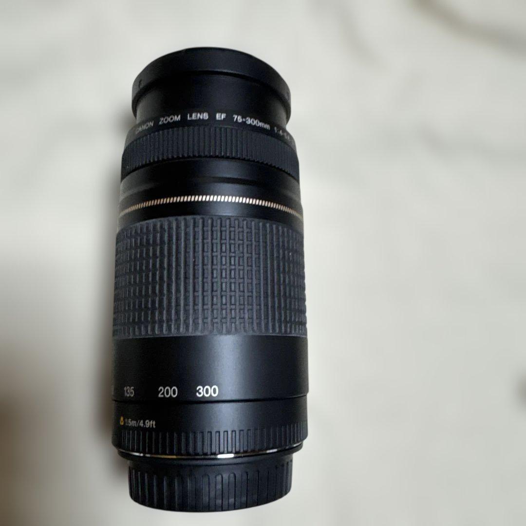 Canon EF 75-300mm f/4-5.6 III レンズ