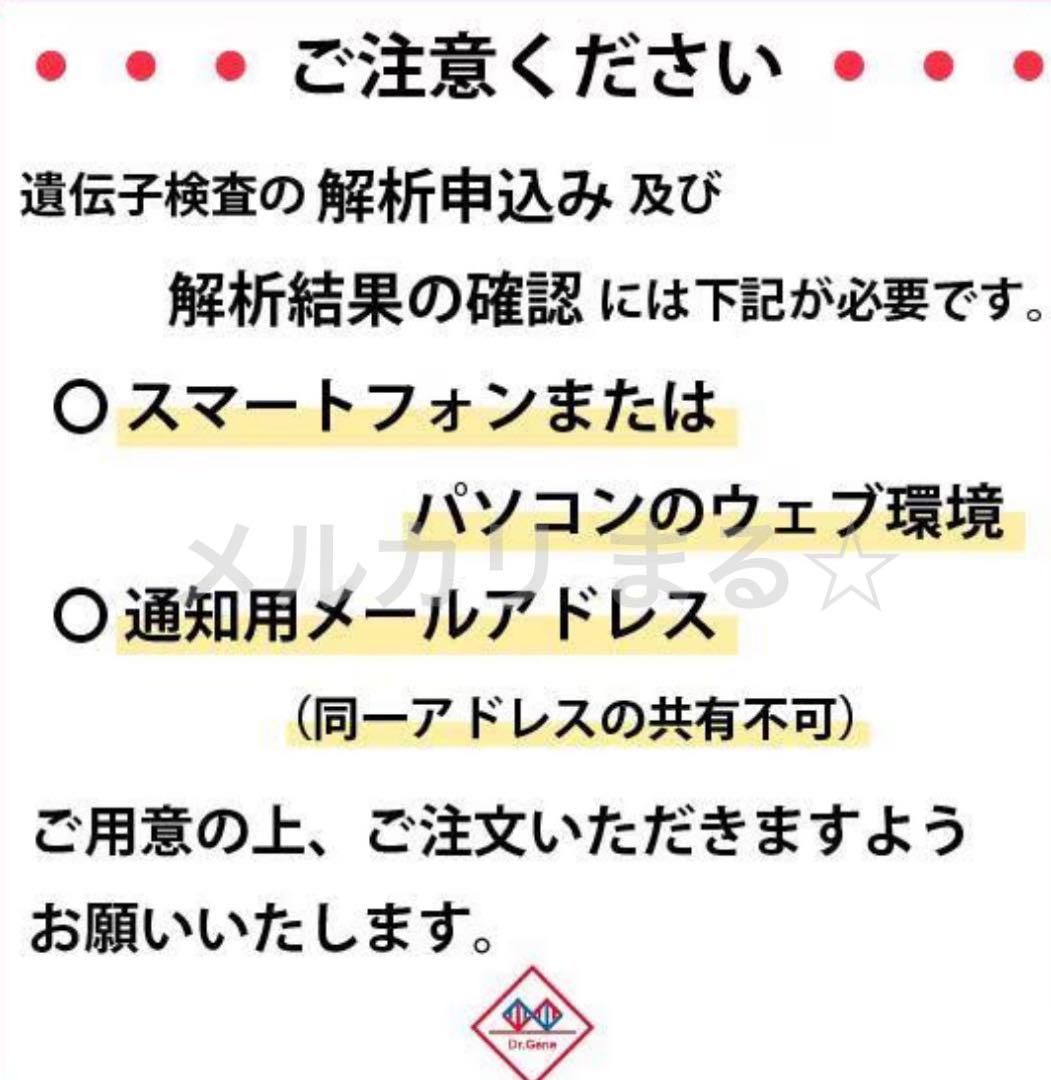 遺伝子博士 Dr.Gene 2箱