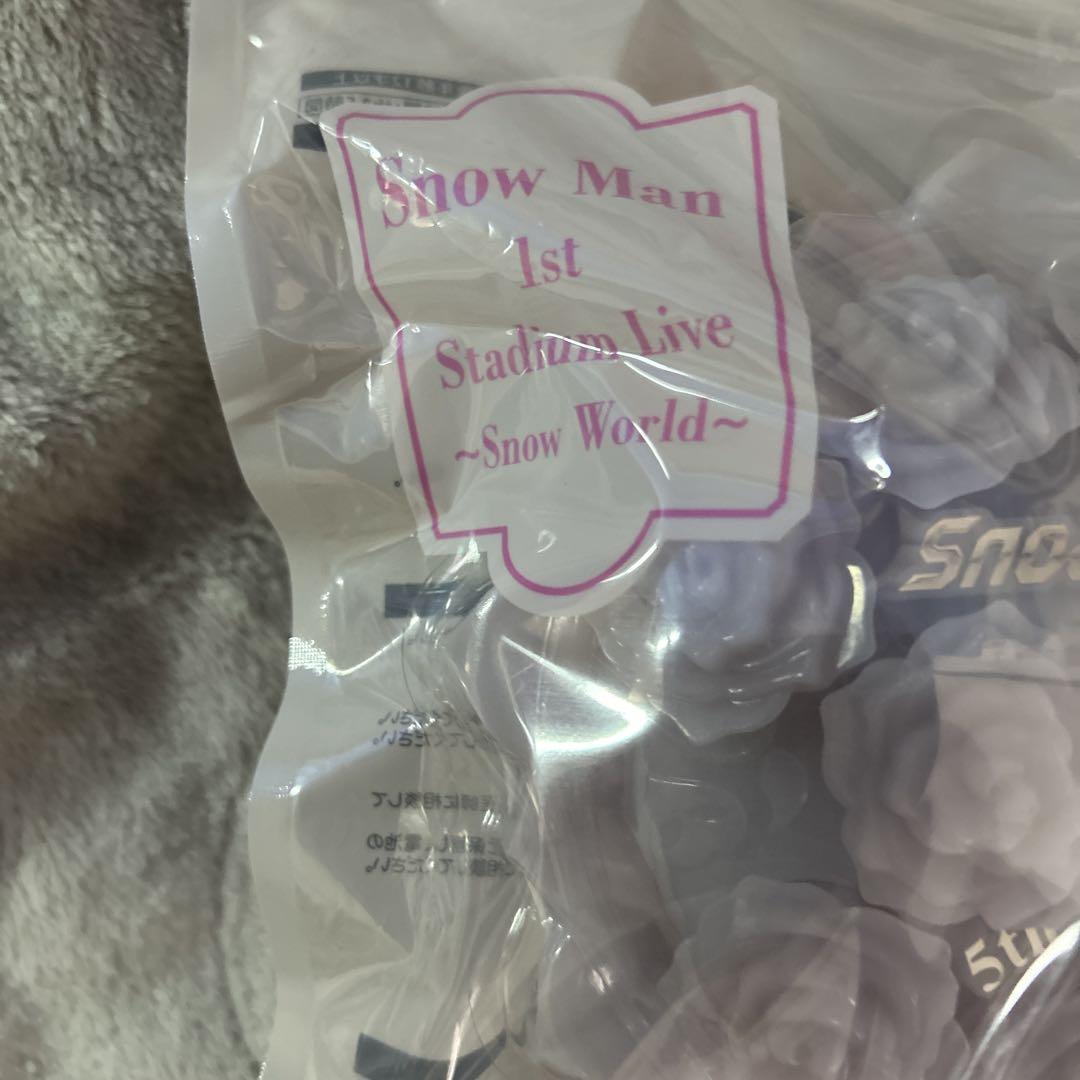 新品　SnowMan Snow World ペンライト　5th