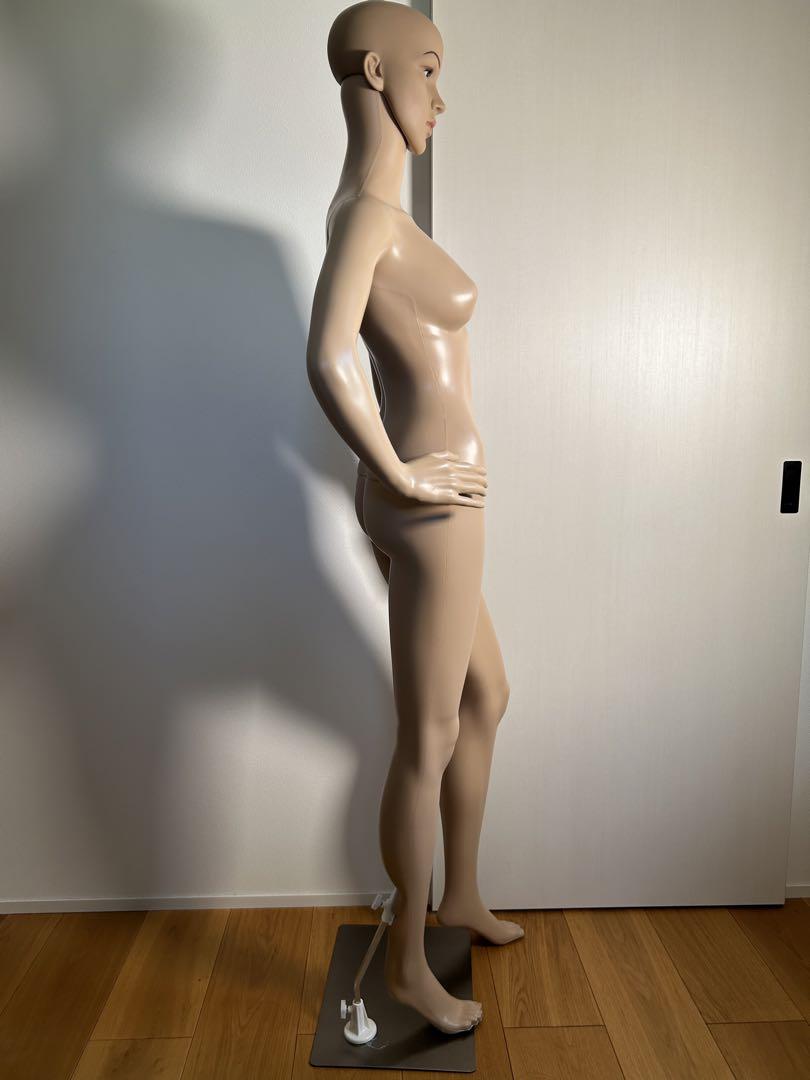 マネキン トルソー 女性 レディース 全身 軽量 176cm 簡単 組立