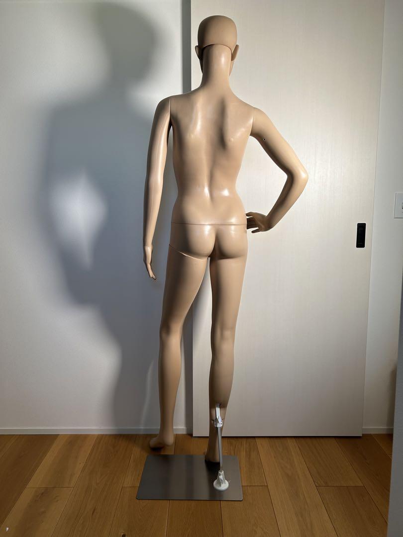 マネキン トルソー 女性 レディース 全身 軽量 176cm 簡単 組立