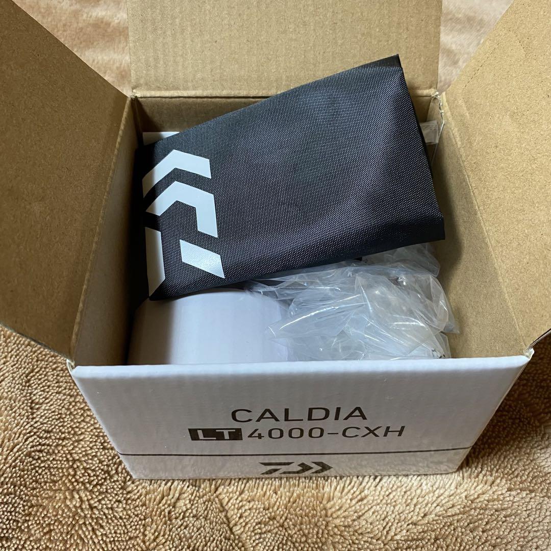 DAIWA ダイワ　21カルディア　LT4000-CXH